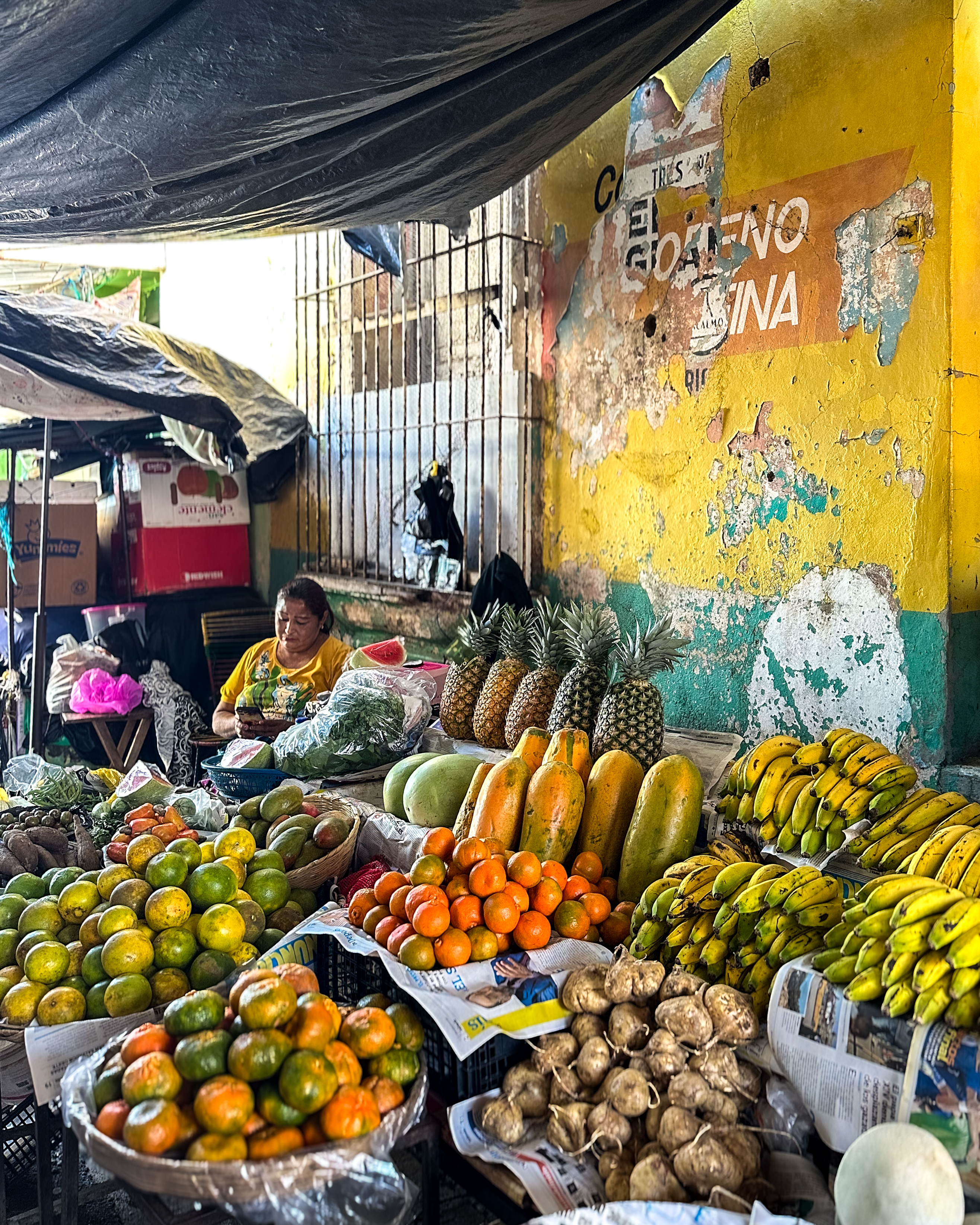 Hector's Walking Tour - food tasting